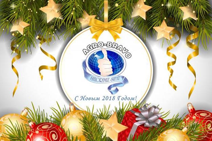 С Новым 2018 годом друзья!